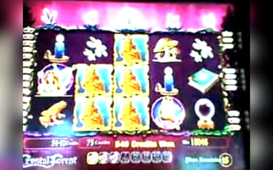 215 Loyal Free Spins! at Spin Palace Casino