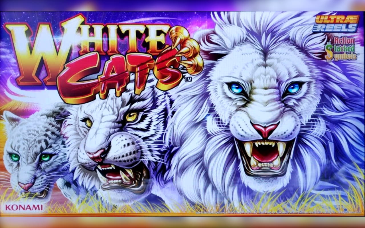 $185 FREE Chip at Zodiac Casino