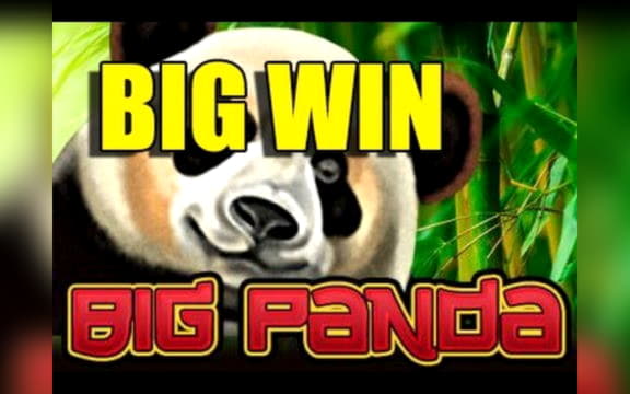 $820 No Deposit Bonus at Nordi Casino