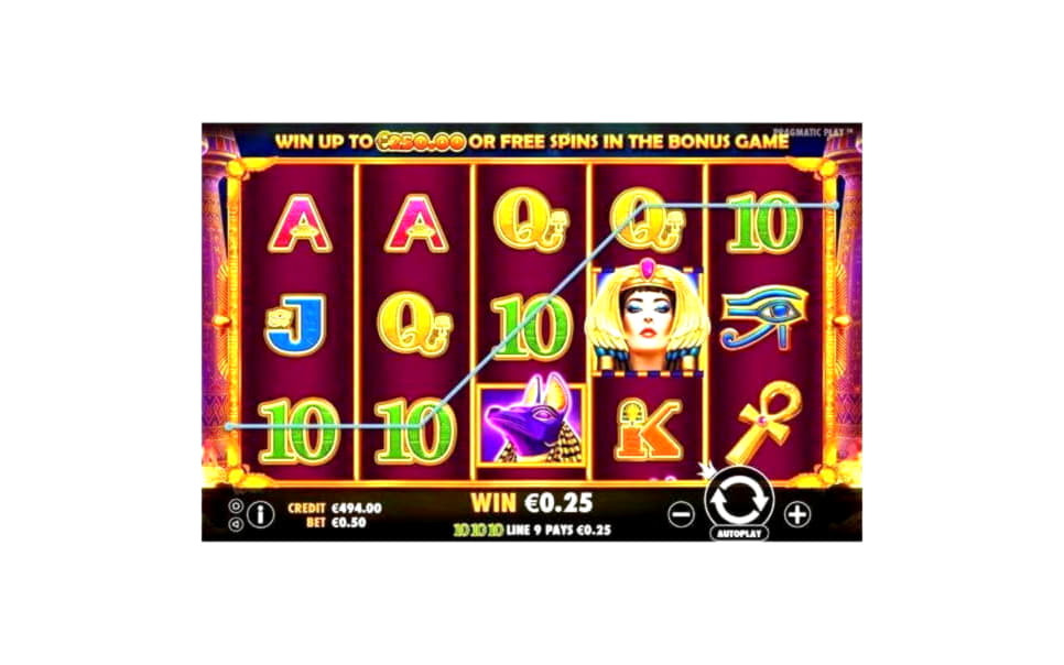 310% No Rules Bonus! at Spin Palace Casino