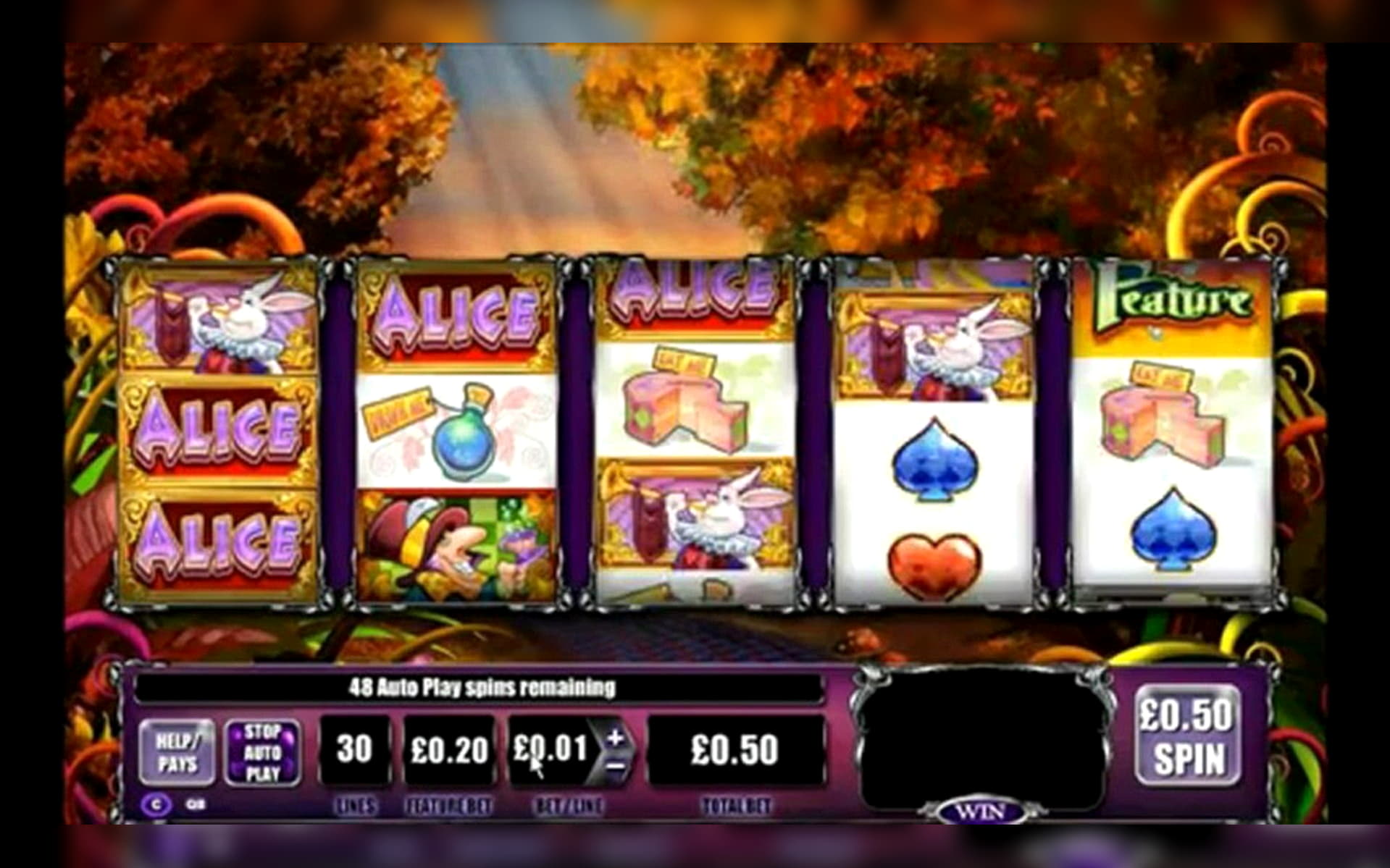 95 Loyalty Free Spins! at Gamebookers Casino