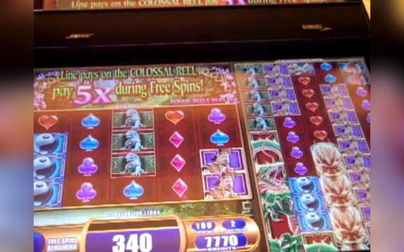 €710 Online Casino Tournament at Platinum Play Casino