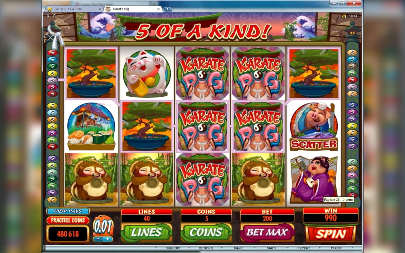 EURO 635 Daily freeroll slot tournament at Platinum Play Casino
