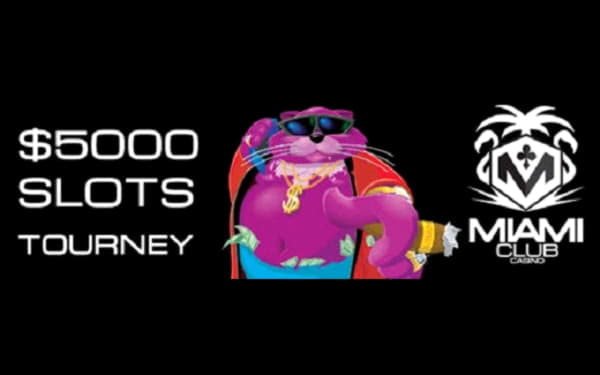 €20 Tournament at Casino com
