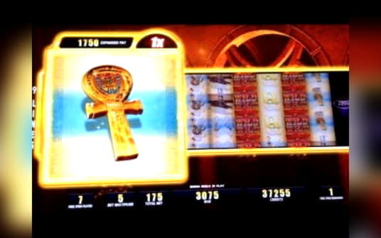 85 free spins no deposit at Spin Palace Casino