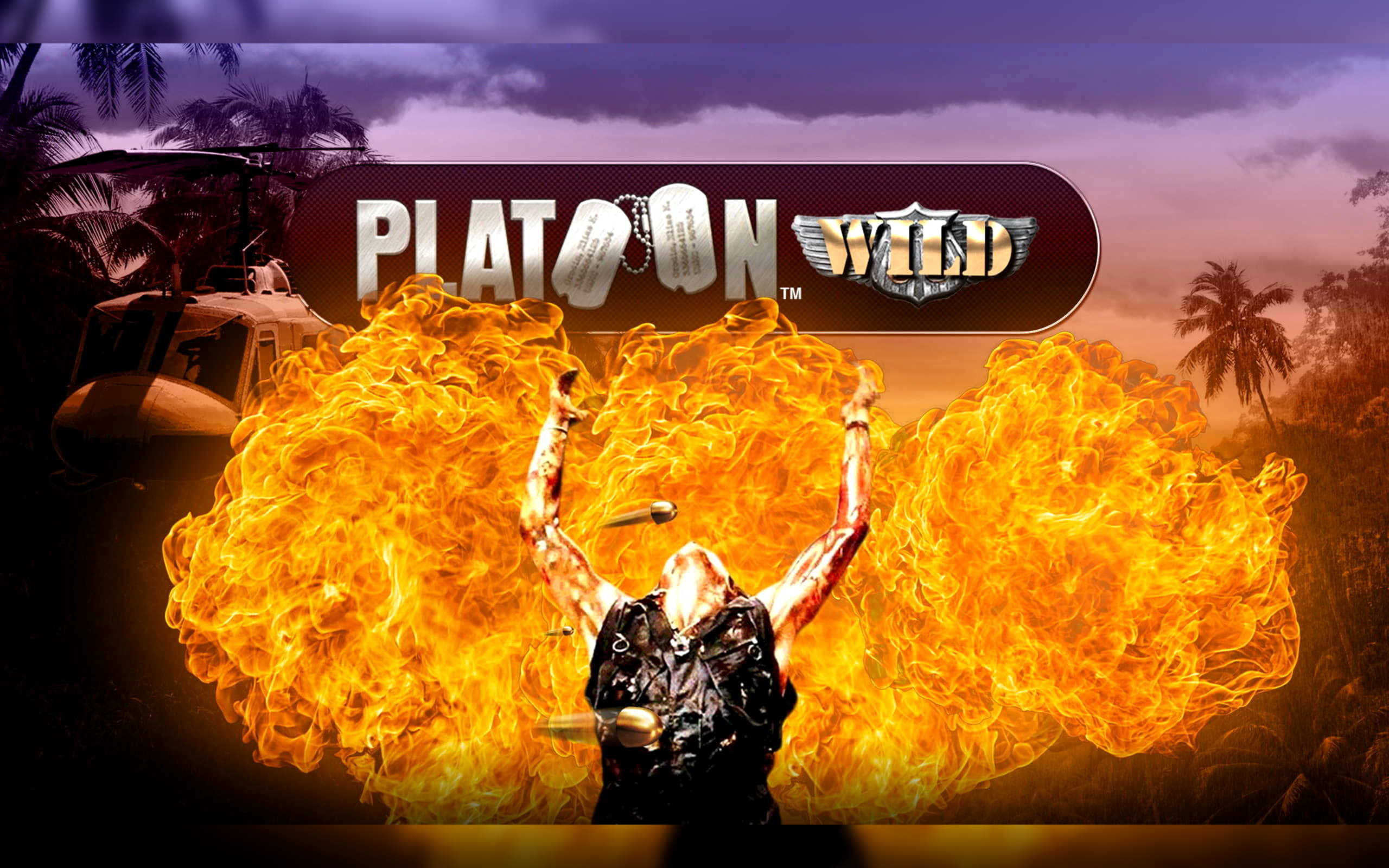 €990 Daily freeroll slot tournament at Euro Palace Casino