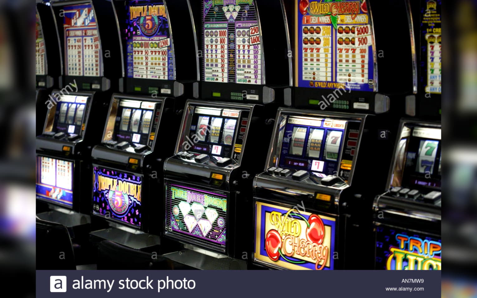 925% Match Bonus at Gamebookers Casino