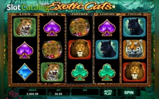 €590 Mobile freeroll slot tournament at Euro Palace Casino