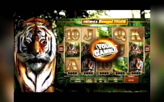 215 free spins at Casino com