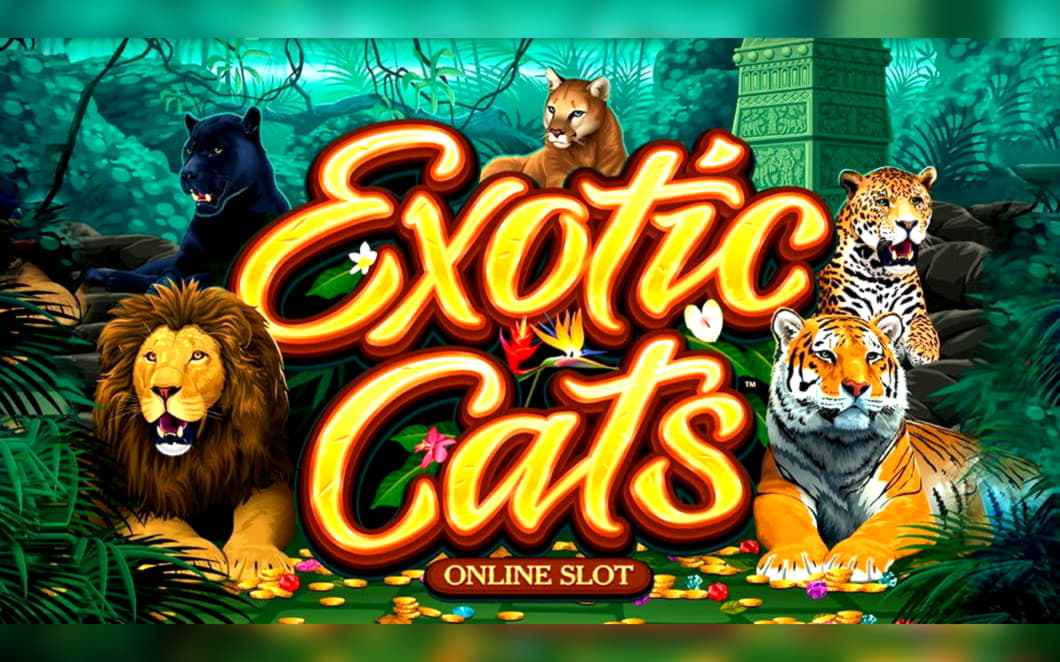 £765 Casino Tournament at La Fiesta Casino