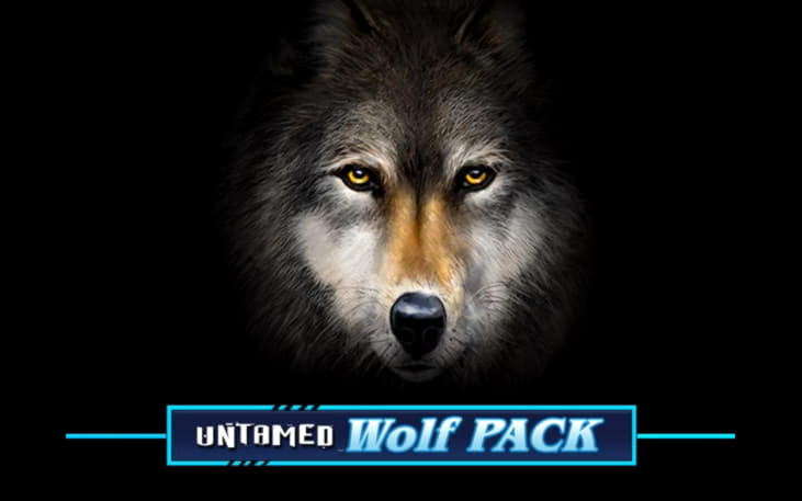€345 Free chip casino at Spin Palace Casino