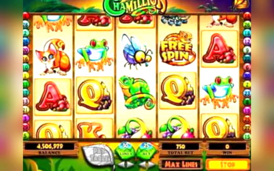 220% Match bonus casino at Omni Casino