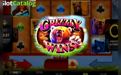 240 free casino spins at Club Gold Casino