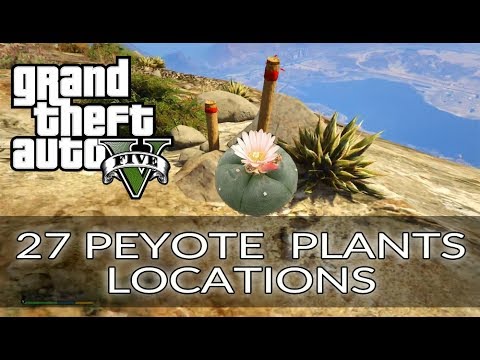 GTA 5 All 27 Peyote Plant Locations - Play as Animals - Cryptozoologist trophy  achievement