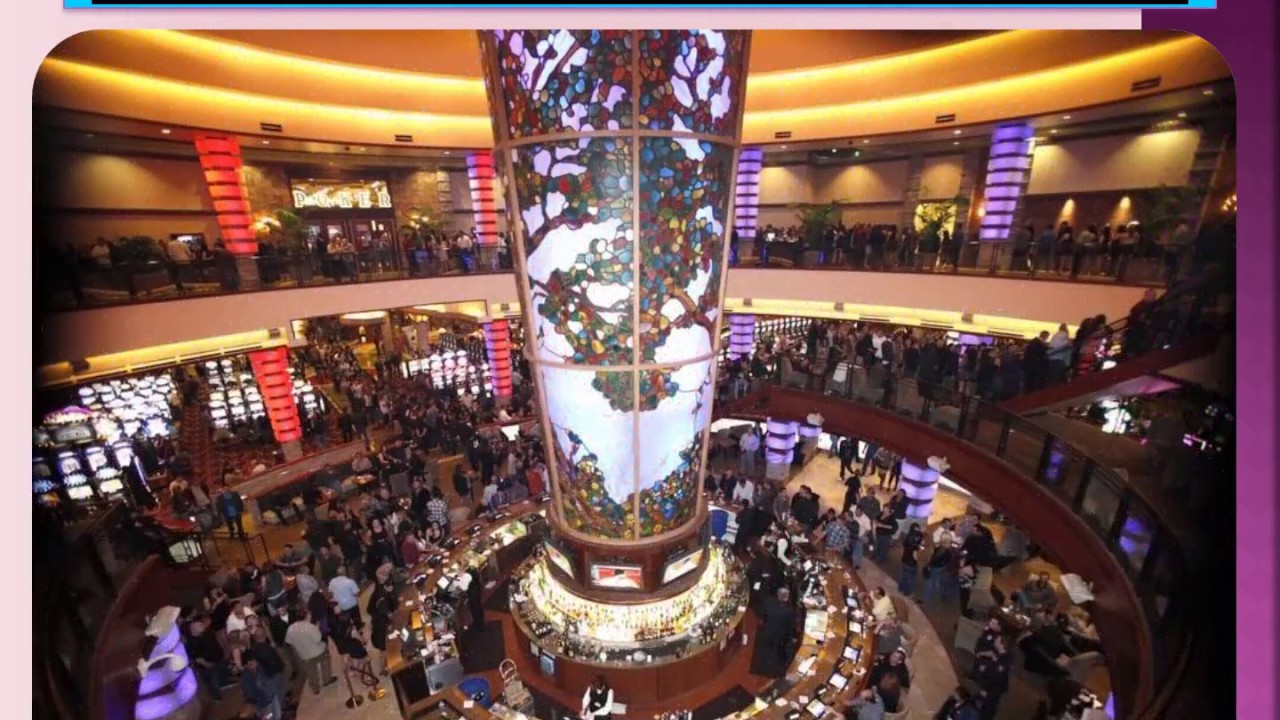 Top 5 Best Casinos In USA