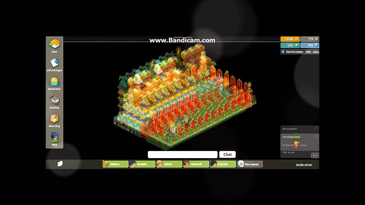 HabNight: Top Casinos!!