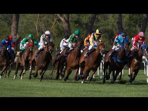 EN DIRECTO, las carreras de caballos del Hipódromo de la Zarzuela I MARCA