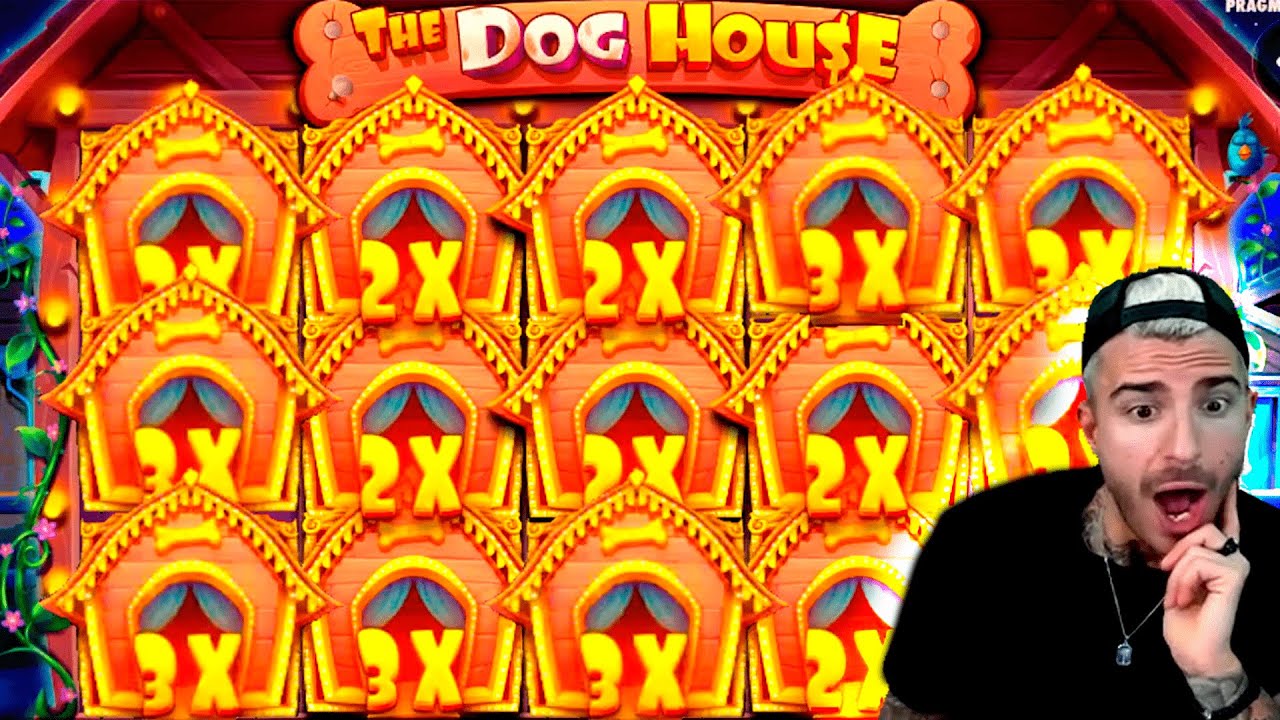 CRAZY SUPER BEST WIN on The Dog House (Pragmatic Play) - Casino Slots Big Wins
