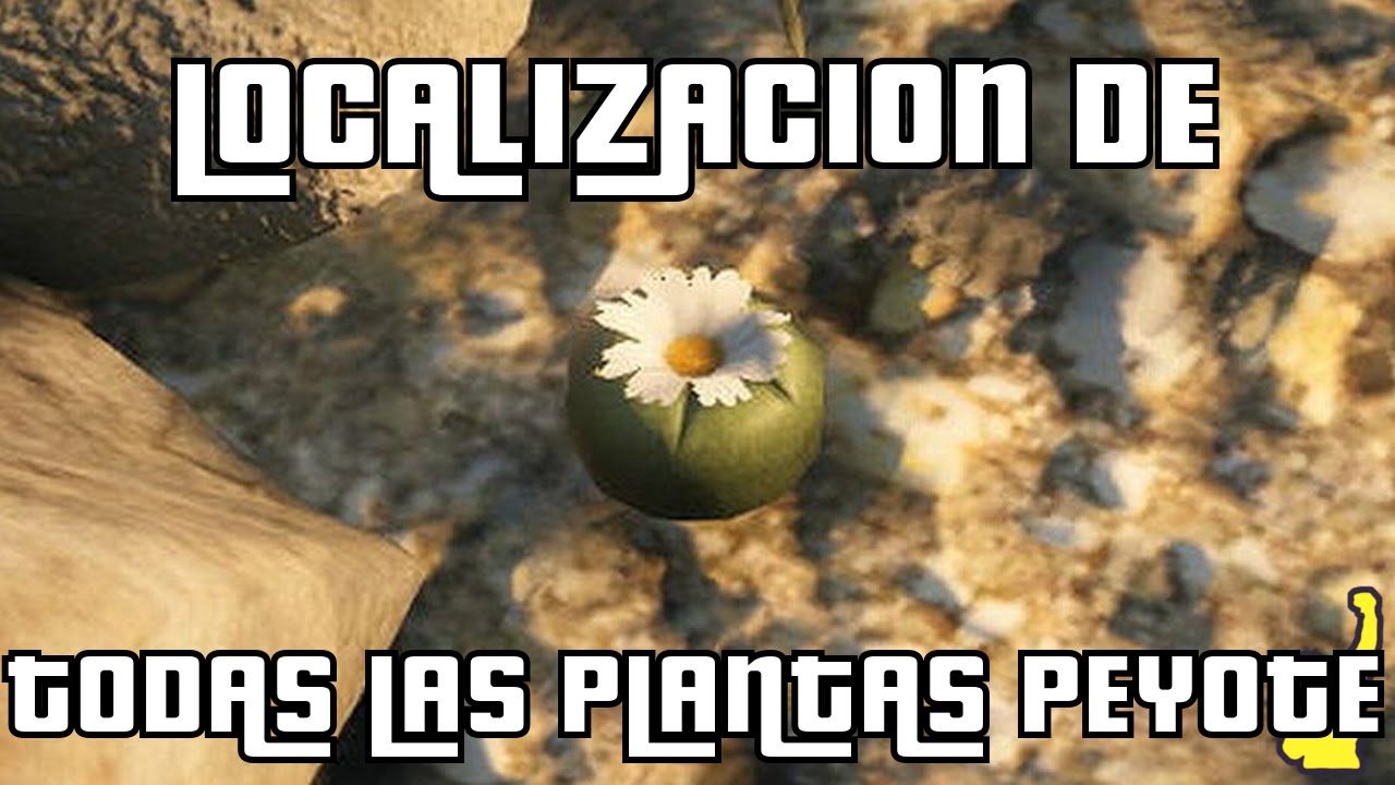 GTA V (PS4 & Xbox One) - Localizacion de todas las plantas Peyote