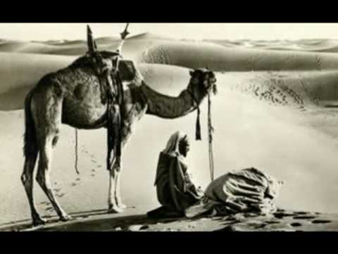 Casino sahara - The Sand Flowers