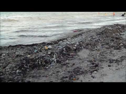 Playa Punta Inglesa, Barahona: Entre la mierda y la basura