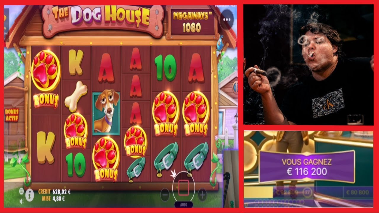 BEST OF CASINO FR | 6 SCATTERS  SUR DOG HOUSE INCROYABLE | MEGA HIT MEGA BALL