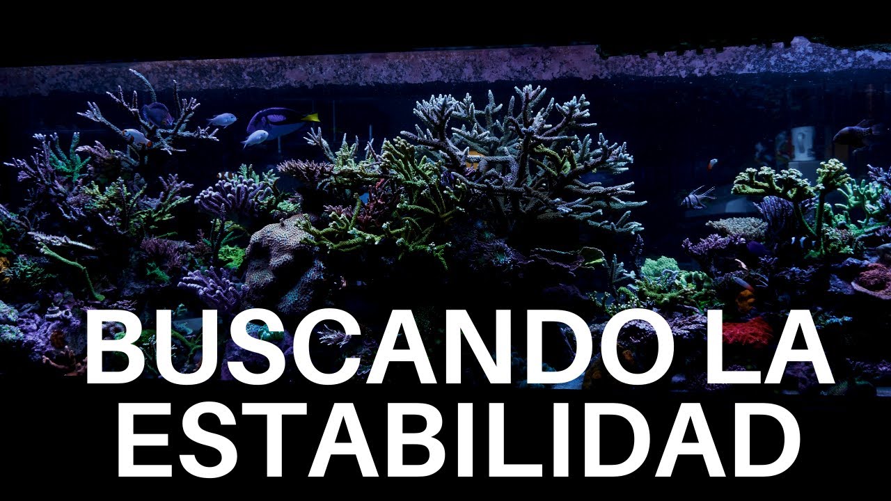 Buscando la Estabilidad