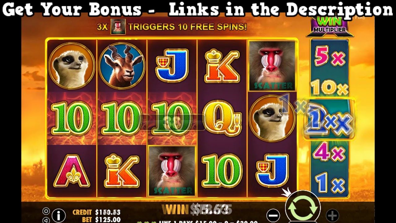 Hot Safari Slot Game Online - Best USA Internet Casinos for High Rollers