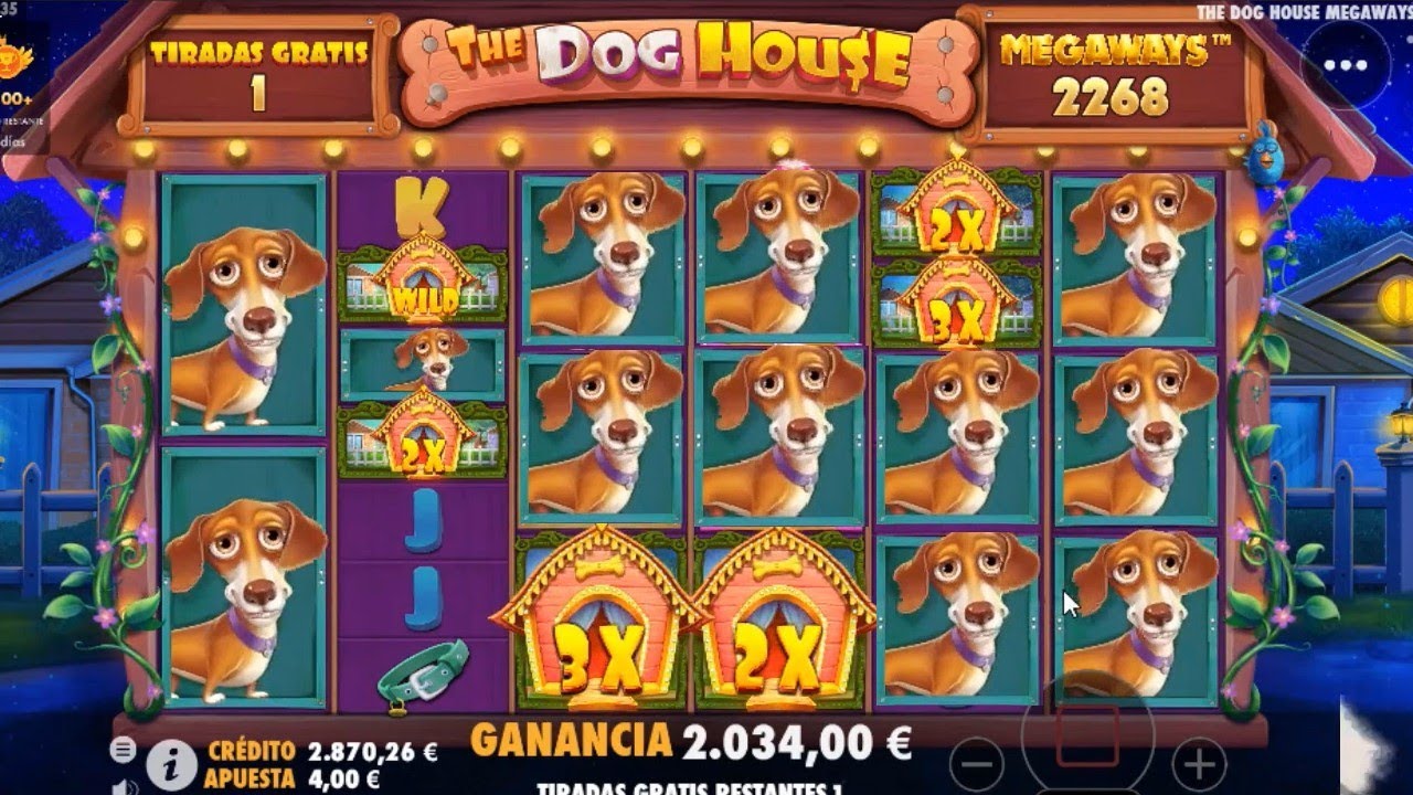 TOP 5 RECORD WINS OF THE WEEK ★ EXCLUSIVE SUPER BONUS ON ONLINE SLOTS
