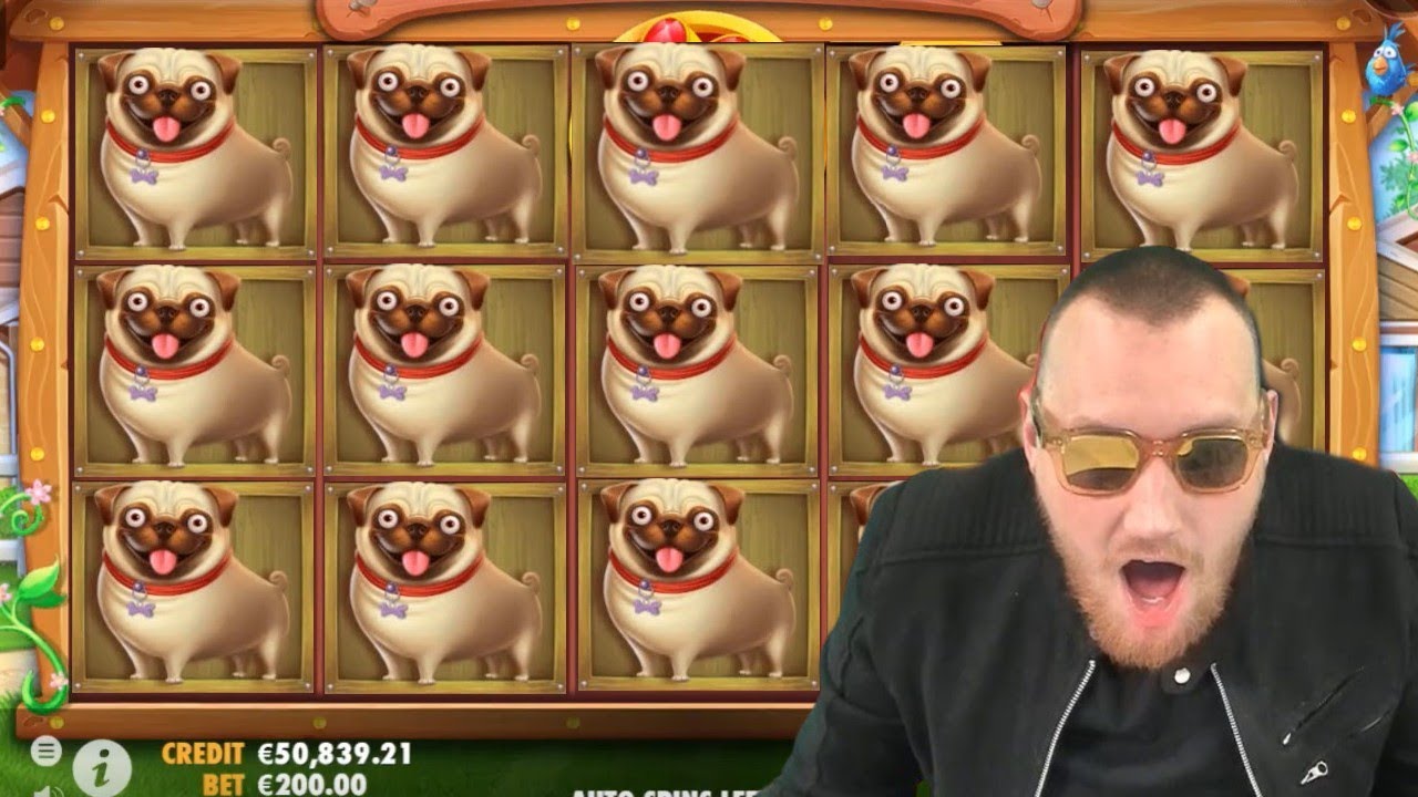 TOP 5 RECORD WINS OF THE WEEK ★ OMG ★ BEST STREAMERS MASSIVE COMPILATION