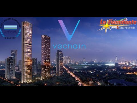 *Vechain, DNVGL, ICAB La Fiammante, Yuhongtai Foods Co. San Marino Republic & Yuhongtai Foods*