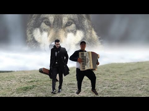 cover -tarantella i du casinu- (di cecè barretta) Perri Giuseppe (accordion edition)