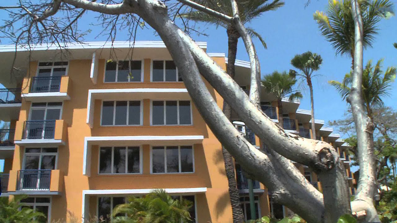 Aruba Vacations -- Top-rated Aruba Hotel, Resorts and Casinos