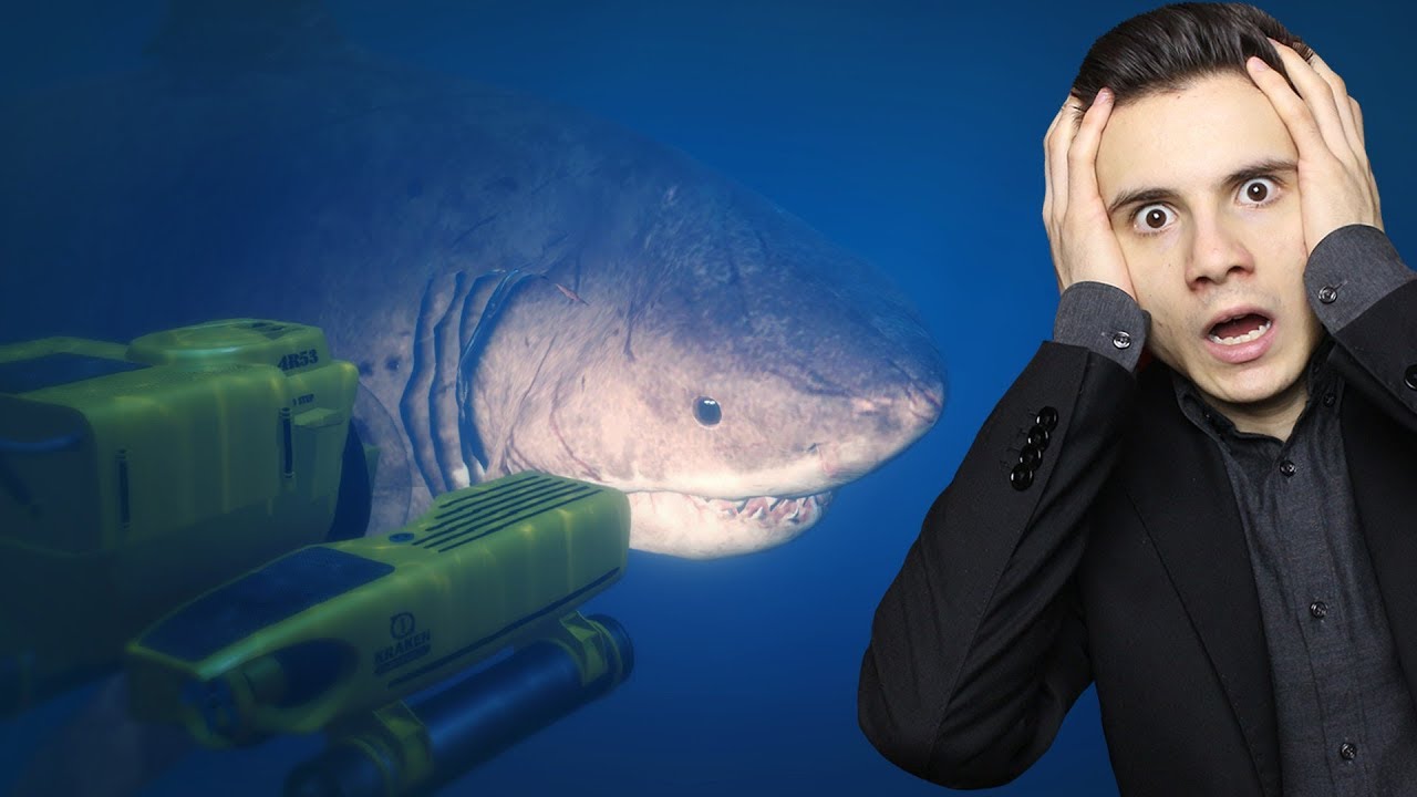HO TROVATO IL MEGALODONTE SU GTA 5 ?