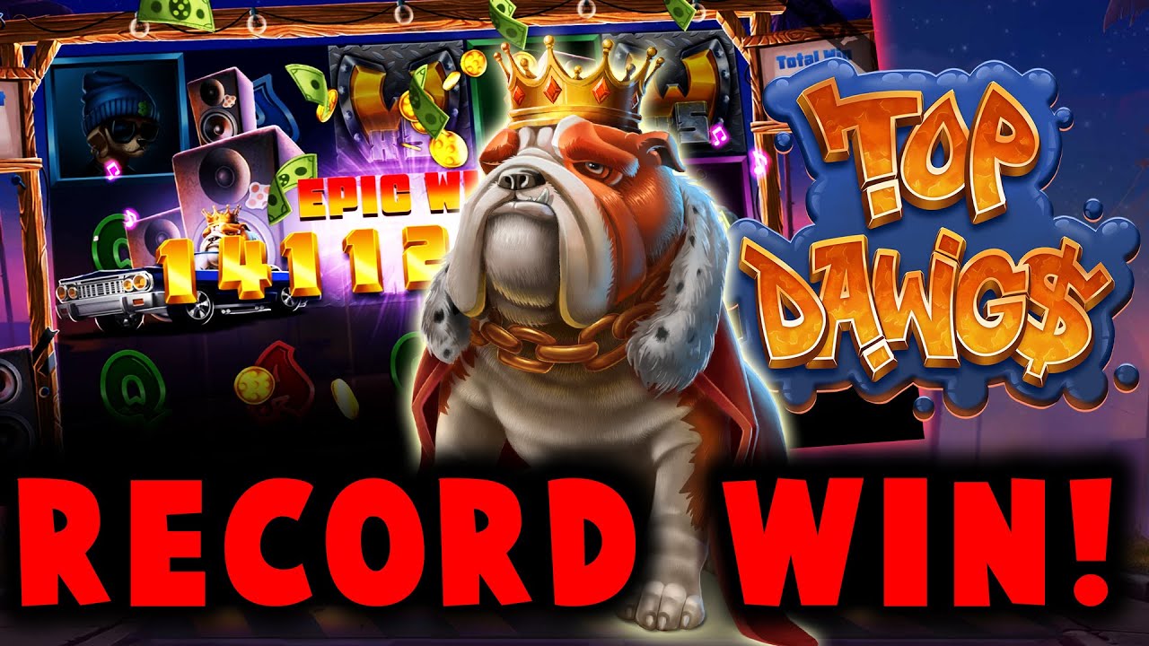 TOP DAWGS 13151X SUPER BIG WIN ? €20 STAKE!