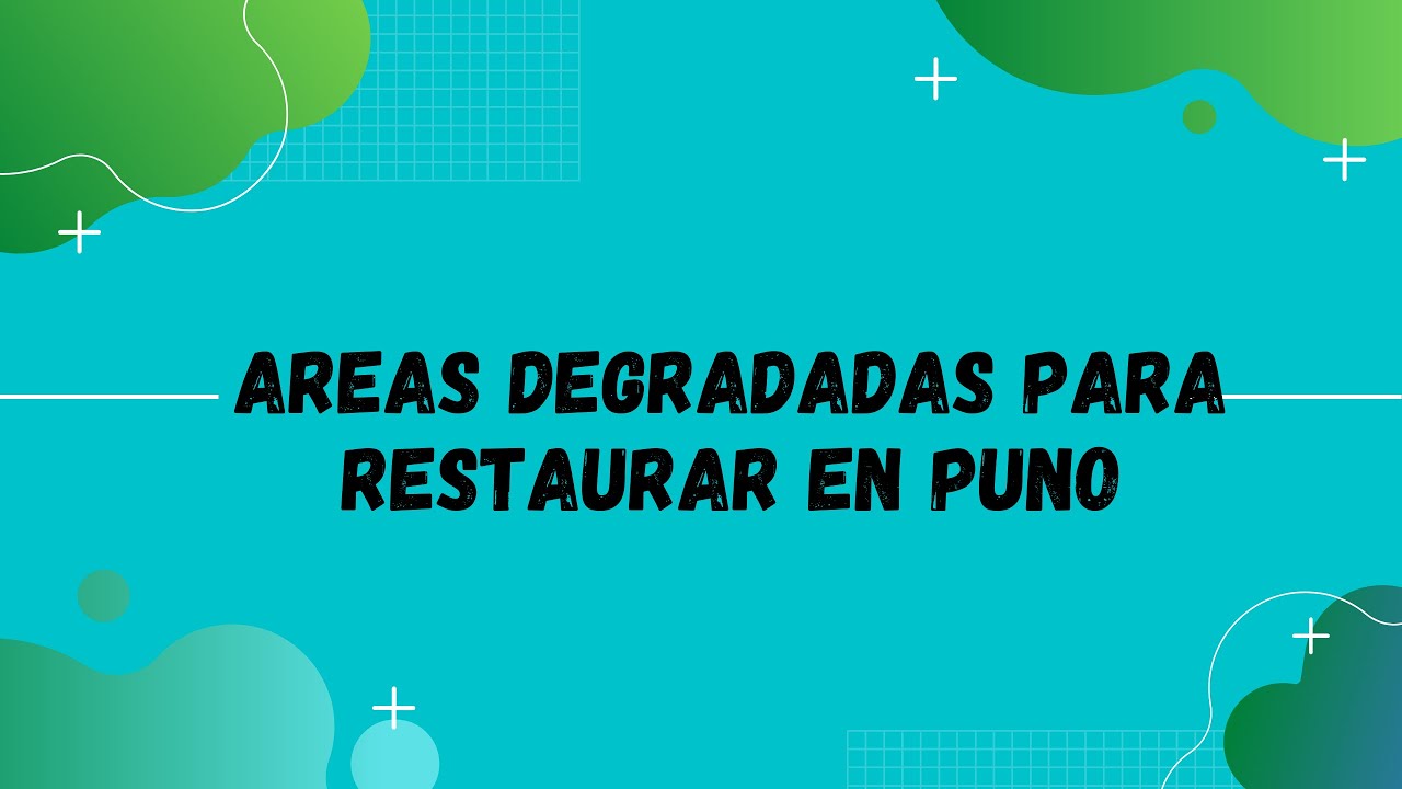AREAS DEGRADADAS PARA RESTAURAR EN PUNO
