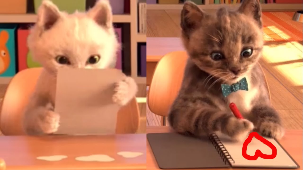El Gato TOM VIDA REAL, Little Kitten ,¡CARTA DE AMOR! My Favorite Cat, Lindo Gatito