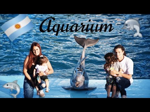Visitamos #Aquarium en #MardelPlata #BuenosAires #Argentina  #Tiburones #Pinguinos #axolote #axolotl