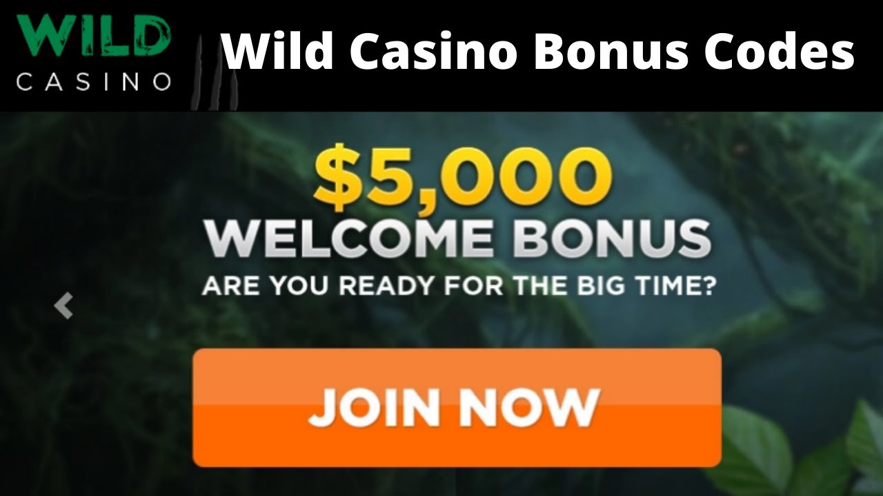 Wild Casino Welcome Bonus [Pros & Cons]. Wild Casino Review 2022.