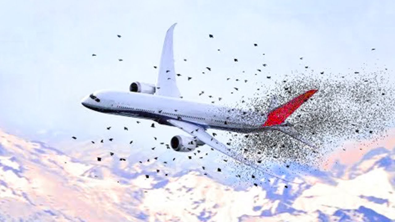 20 Momentos Que Si No Hubieran Sido Grabados Nadie Creería