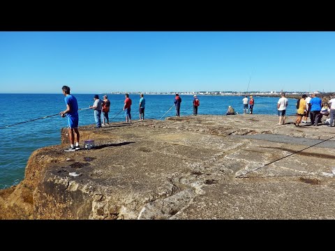 ¿QUERÉS PESCAR EN LA ESCOLLERA SUR EN MAR DEL PLATA? ACOMPAÑAME EN EL RECORRIDO