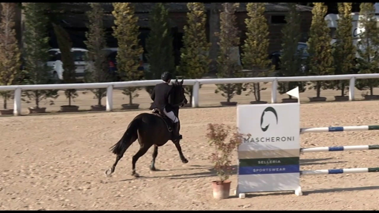 Natale D'Aguì e Casino Royal CSI 3* Arezzo Aprile 2017