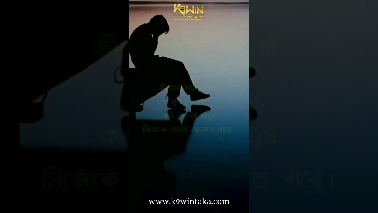 Top online cricket exchange App in Bangladesh - Best cricket website in Bangladesh K9Win Online