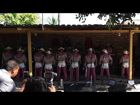 Banda Maguey