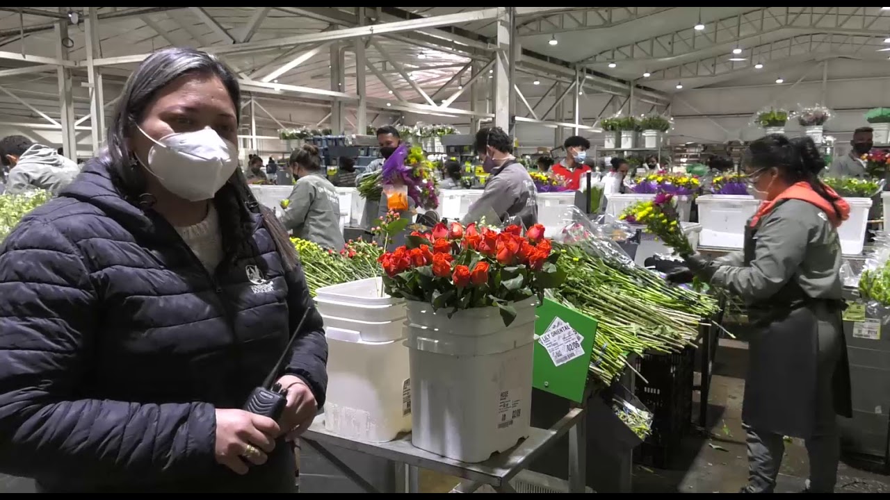 CHÍA. FLORES