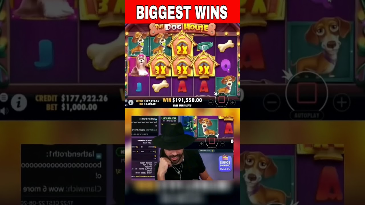 #roshtein #bigwin #doghousemegaways #casino #slots #slot #slotonline