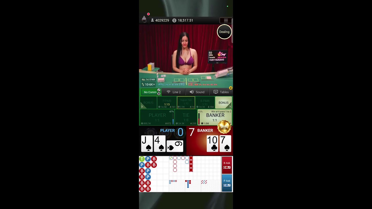Top online cricket exchange App in India - Best Casino betting website in India K9Win Online