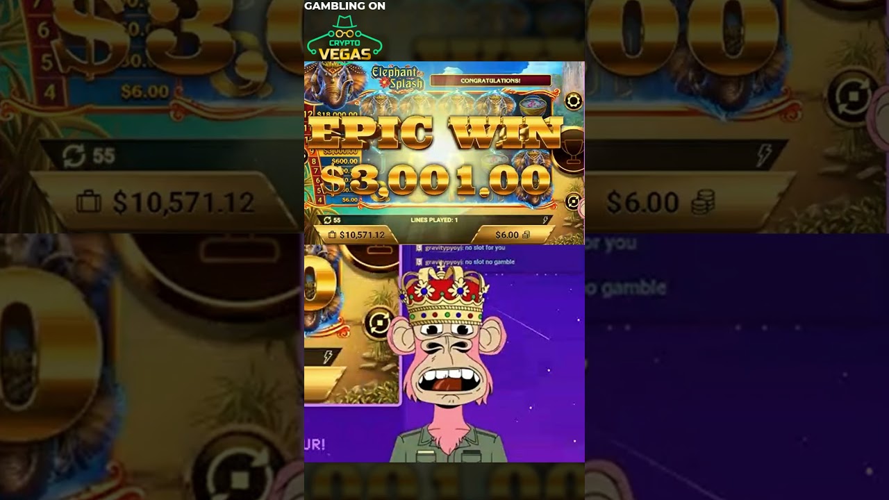 Best Bitcoin Casinos: Top Bitcoin Gambling Sites & Bonuses
