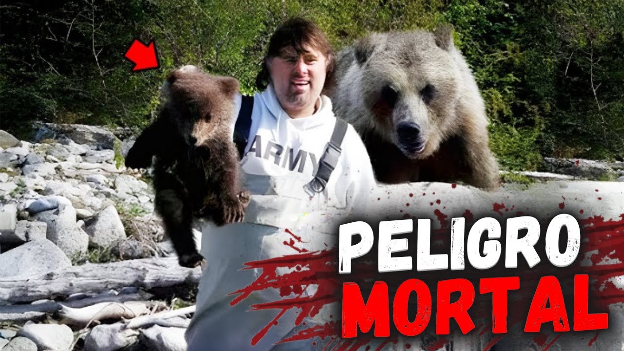 Los Ataques de Animales Más Brutales de La Historia MARATON!