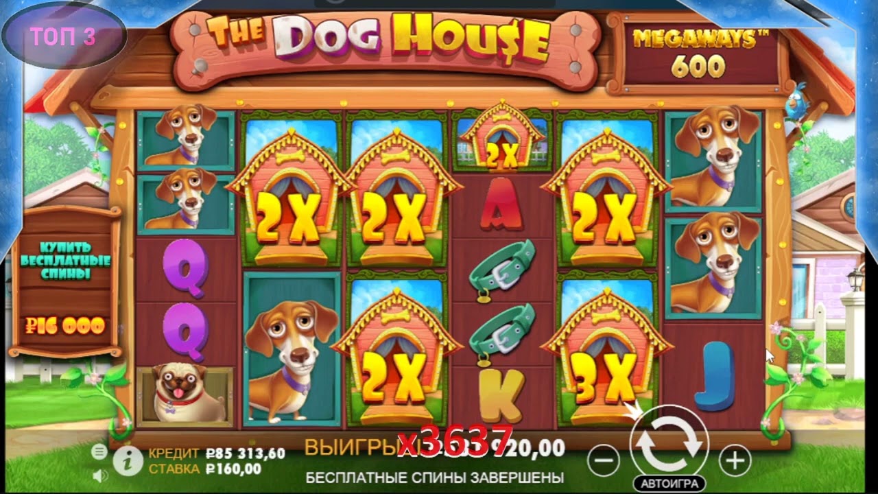 casino leone signup bonus,lev casino no deposit bonus,leon casino bonus code